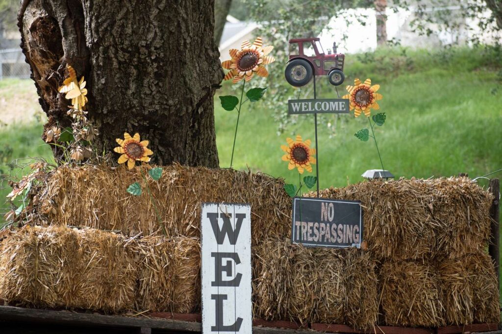 How do I make sense of my neighbor’s contradictory yard signs?