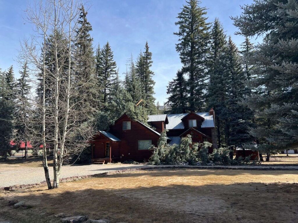 High winds batter Vallecito, down power lines